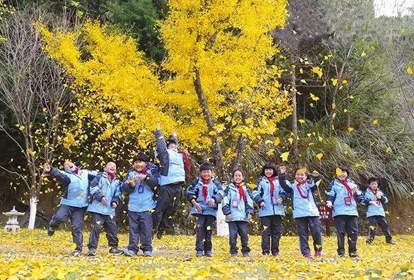 魔法森林奇幻冒险，最新童话之旅